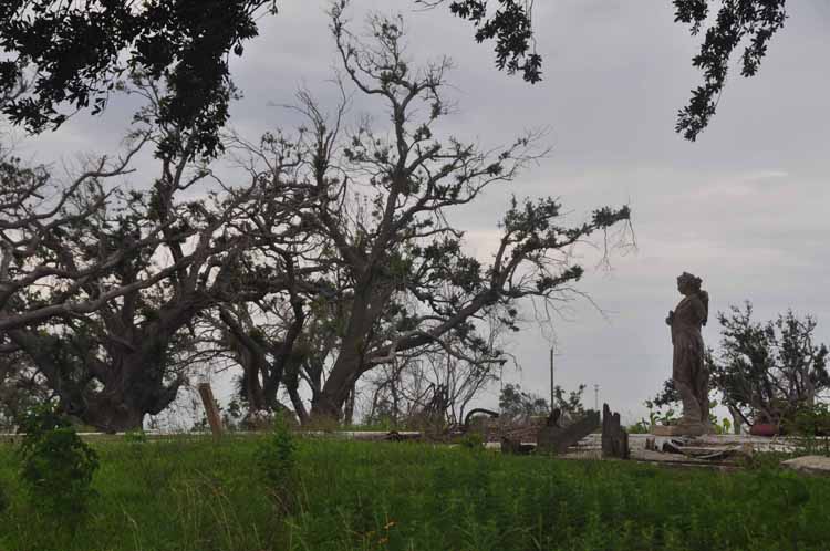 hurricane damage